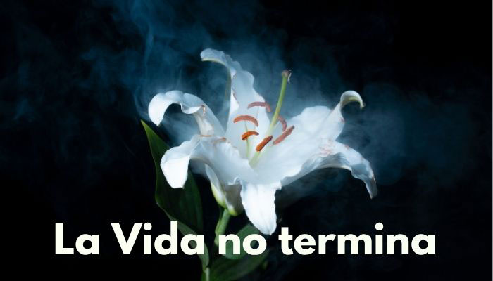 La Vida no termina